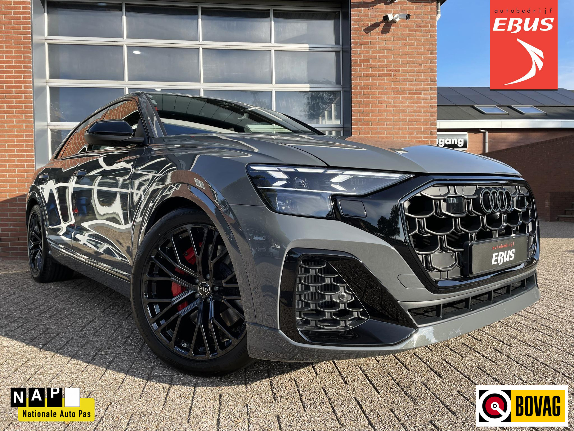 Audi Q8 60 TFSI e quattro Pro Line S Competition Nimbus Gray
